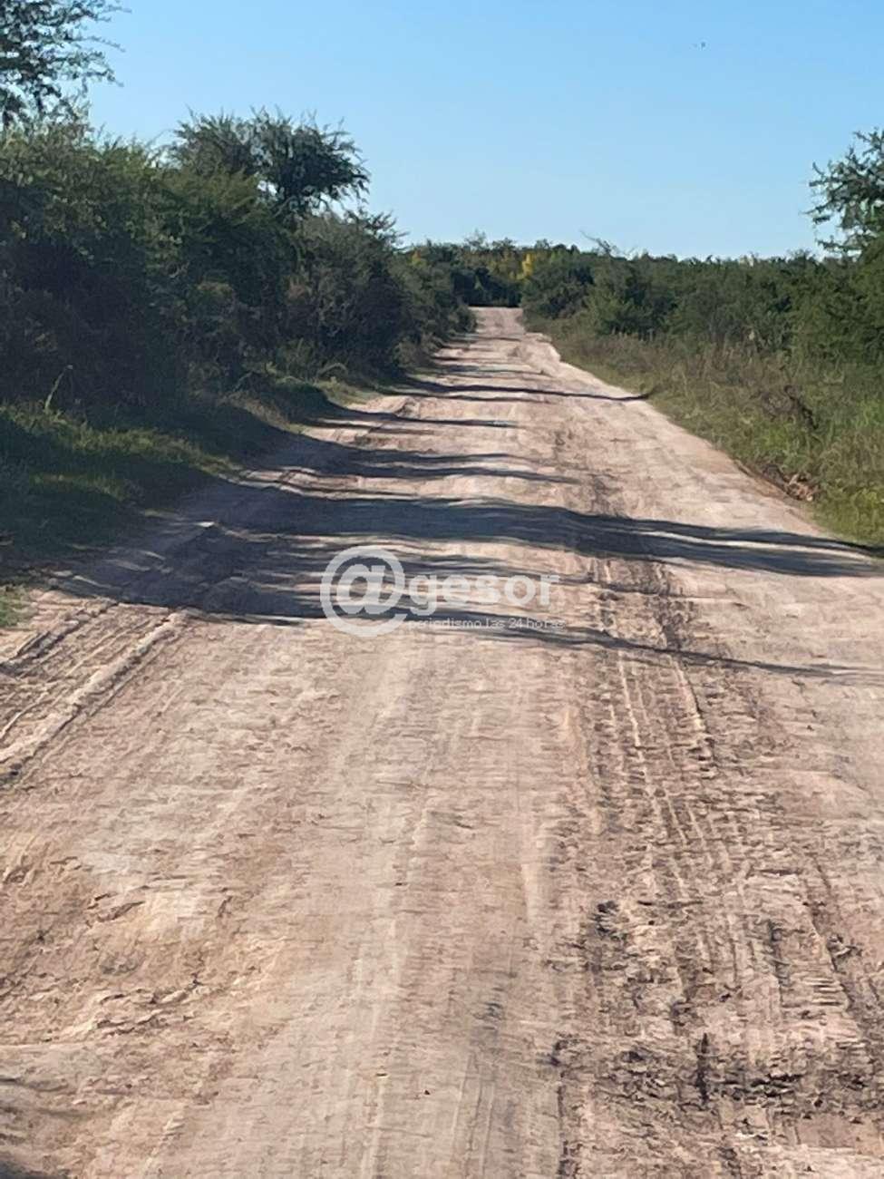 Image2